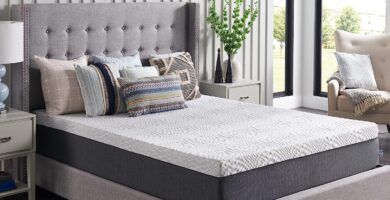 Sealy Essentials - Cama de espuma viscoelástica de 12 pulgadas en caja, Queen, color blanco